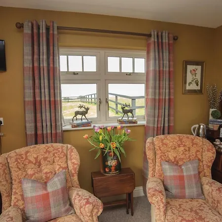 The Brown Hen Guest 4*