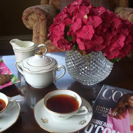 The Brown Hen Guest בנדון